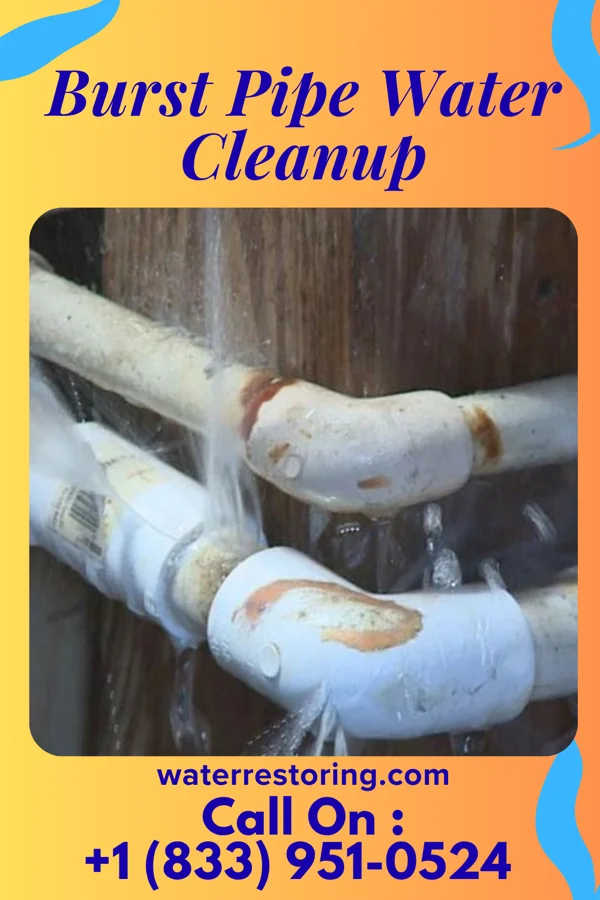 Burst Pipe Water Cleanup in Fairgarden, TN
