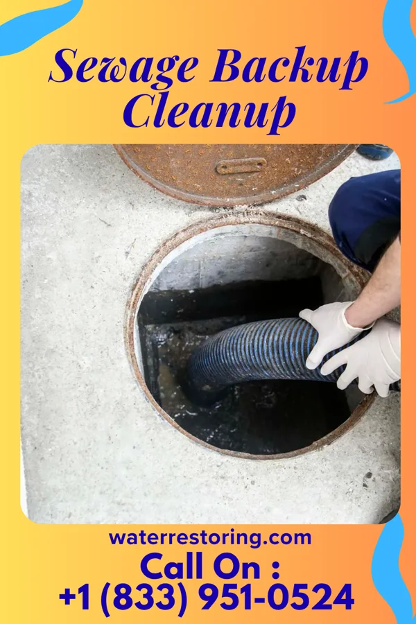 Sewage Backup Cleanup in Fairgarden, TN