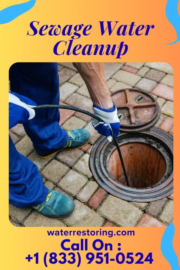 Sewage Water Cleanup in Fairgarden, TN