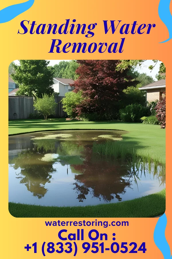 Standing Water Removal in Fairgarden, TN
